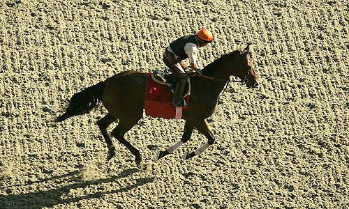 santa-anita-park-track