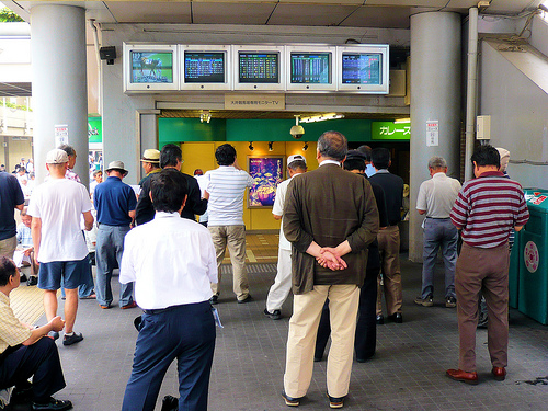 horse-betting-by-stefan