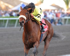 Quality Road shown winning the Feb. 28 Fountain of Youth Stakes