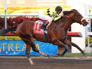 quality-road-bcog-foy1