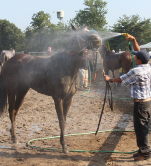 This runner seems to be enjoying a blast of cold water after running on a humid New Jersey day.