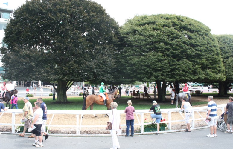 Monmouth Park may not run a meet with the quality of Saratoga, but the landscaping is top notch